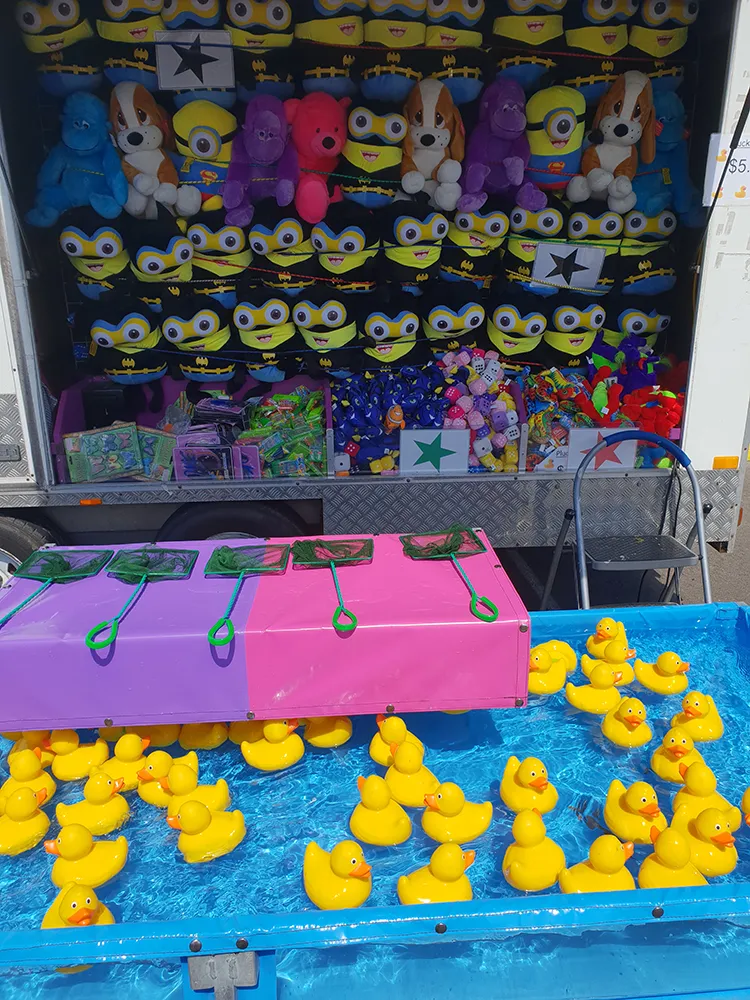 Pluck-a-duck - Image 2