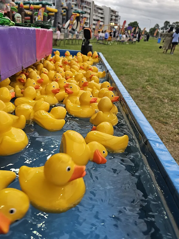 Pluck-a-duck - Image 3